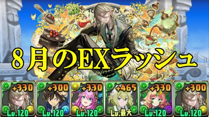 【8月の決戦！EXラッシュ！】執事アルバート✕執事アルバートでEXラッシュ攻略！！【パズドラ】【8月のEXラッシュ】【超重力/超高度/ノーコン/制限時間40分】
