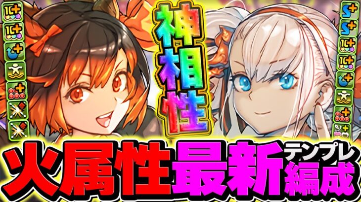 火属性の希望！夏ミル×夏ミネルヴァでLVEX攻略！引けた人は絶対に見て欲しい！【パズドラ】