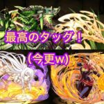 パズドラ　ジュロンド降臨！　羽川翼＆キャプテン・マーベルPT