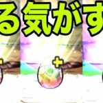 恐怖と絶望の『メニットチャオリン一点狙いガチャ』Part2　夏休み【パズドラ】