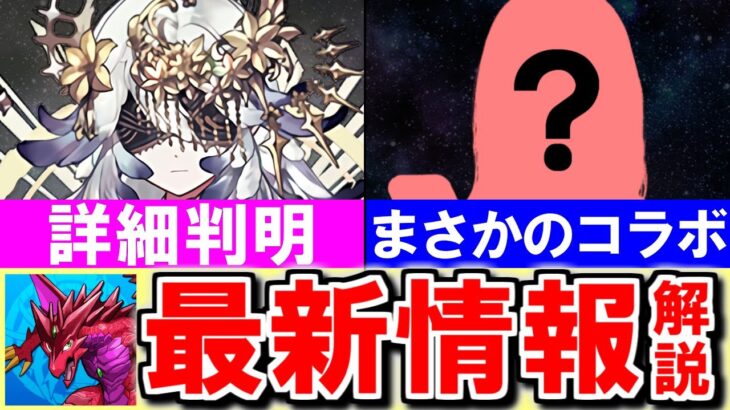 【神企画or迷走】パズドラが○○とコラボを開催!!ただパズル要素が全くありませんwこれ期待していいのか…？【パズドラ】
