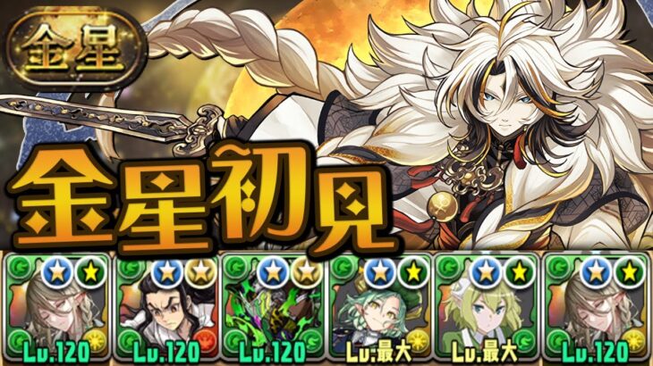 これはもしや脳筋ダンジョンか！？金星チャレンジ初見！【パズドラ】