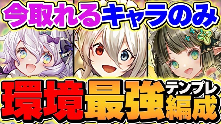 【全員組める最強編成】メイドイデアルのテンプレ編成で契約チャレンジ攻略！代用&立ち回り解説！【パズドラ】