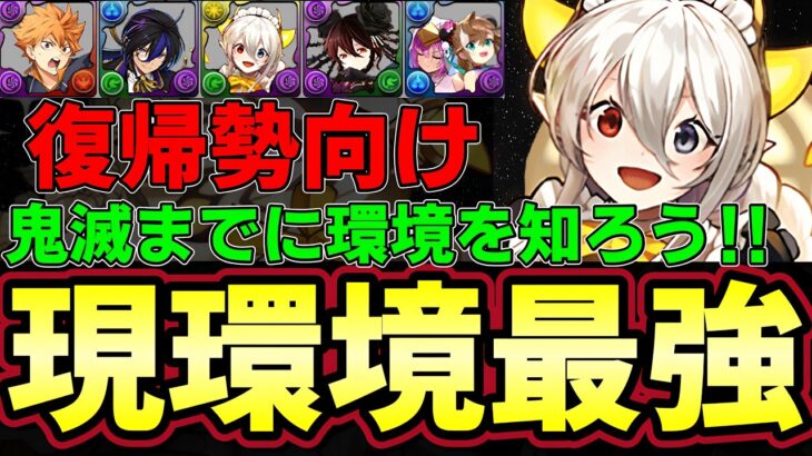 【パズドラ】現環境最強リーダー紹介‼︎鬼滅コラボまでに環境を復習‼︎復帰勢はチェック‼︎【パズドラ実況】