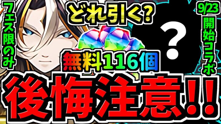 【後悔注意】どれ引く？無料石116個を賢く使おう！どのガチャ引くべきか解説！フェス限のみGFvs新コラボvsガンコラ【パズドラ】