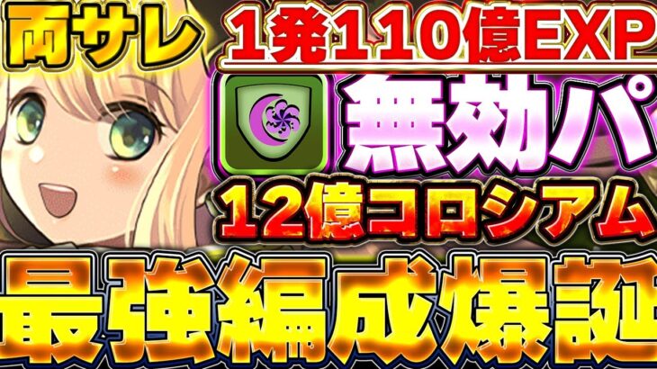 【両サレ】ランク上げ革命！！12億コロシアムの無効パ周回編成がやばすぎる！！【パズドラ実況】【ガンホーコラボ】＃パズドラ