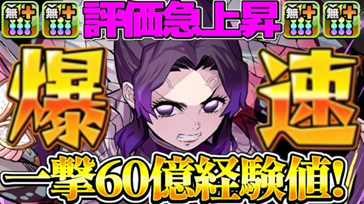 ランク1,800までノンストップ！無効貫通を組むだけの爆速12億コロシアム編成がヤバすぎる【パズドラ】