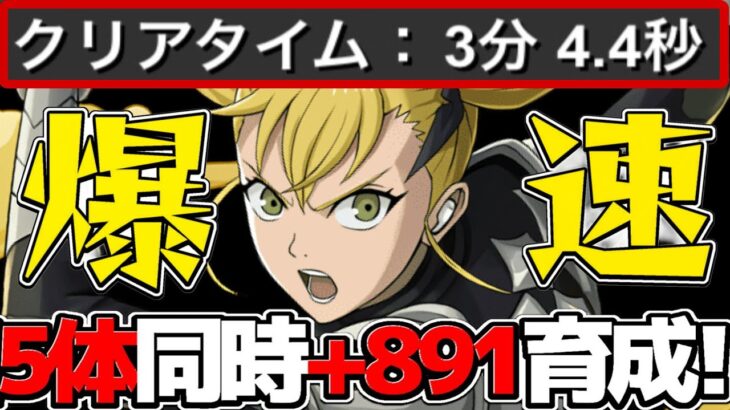【パズル不要】ワンチャン2分台⁉︎ キコルの限界突破コロシアム爆速編成がヤバすぎる【パズドラ】