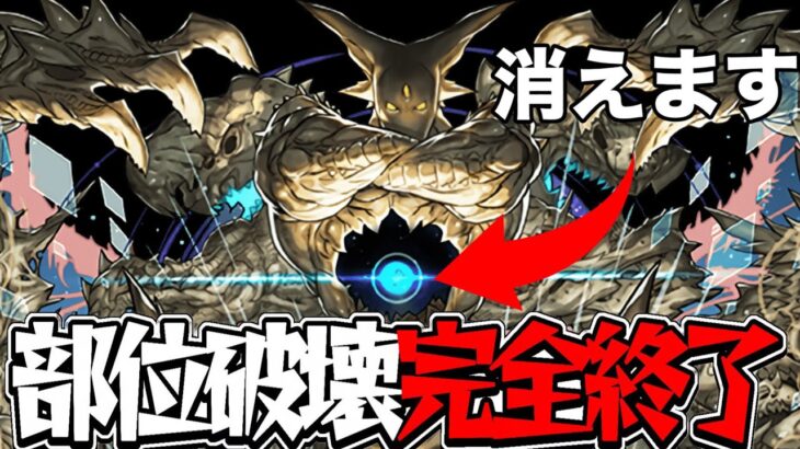 部位破壊問題に対する運営の答えがヤバすぎた百花繚乱6【パズドラ】