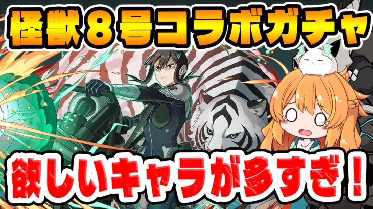 怪獣8号コラボがきたーっ！！ガチャキャラ25体も！？これは引くしかないでしょ…！【パズドラ】