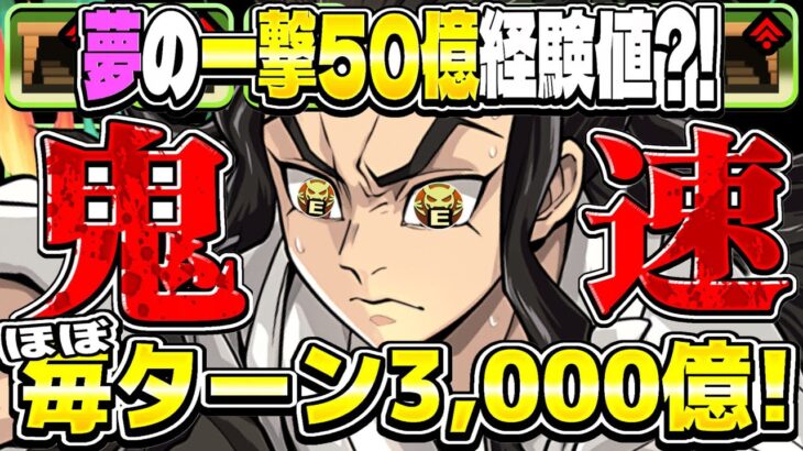 【ほぼ鬼滅】9分台突入！20分で100億経験値⁉︎ 最新爆速伊黒12億コロシアム編成がヤバすぎる【パズドラ】