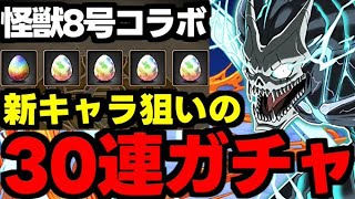 【ガチャ動画】ぶっ壊れだらけの怪獣８号コラボガチャ！人権キャラ引くぞおおお！【パズドラ】