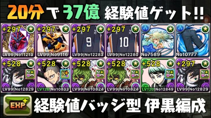【十億ダンジョン】20分で18億経験値！経験値バッジ型W伊黒周回編成紹介【ゆっくり解説】
