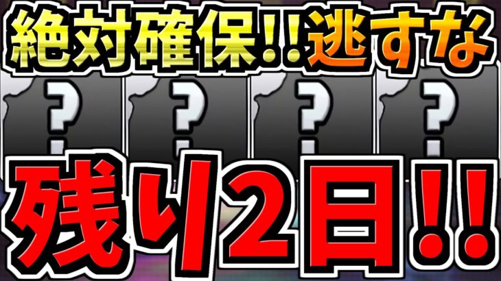 【残り2日】逃すとマズイ絶対確保して!3つの”期間限定で”全員が確保するべきキャラや「やるべき」こと!一挙に紹介解説!【パズドラ】