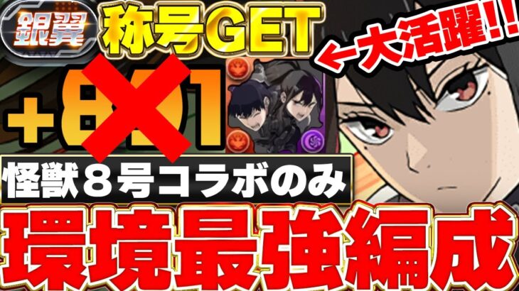 【銀翼チャレンジ】武器も怪獣８号コラボのみ！！亜白ミナの最強テンプレなら耐久も余裕！？銀翼チャレンジを亜白編成で攻略してみた！！【パズドラ実況】【怪獣8号コラボ】＃パズドラ ＃怪獣８号