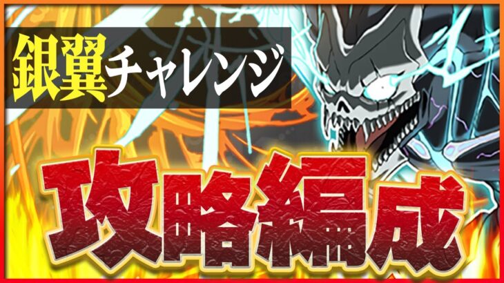 【銀翼チャレンジ】列消しパズルがとにかく楽！経験値も美味い！怪獣8号で銀翼破壊！【パズドラ】