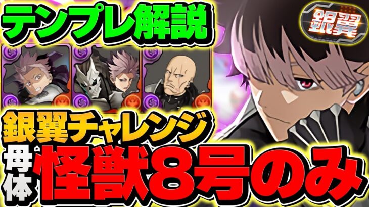 【ガチ接待】鳴海弦で銀翼チャレンジを完全破壊！怪獣8号キャラ多め！代用&立ち回り解説も！【パズドラ】