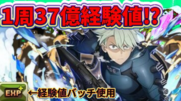 【絶対見て】鬼滅＆怪獣8号のみ編成！市川レノで十億ダンジョン37億経験値‼︎