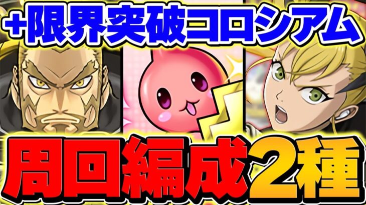 キコルで+891を作ろう！周回編成2パターン解説！1枚抜き対応！これが一番強いと思います！！【パズドラ】