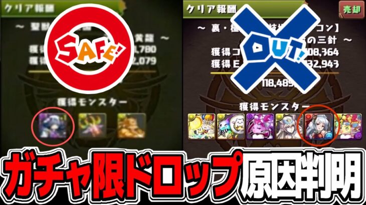 【何故また話題に？】知らなくてもBAN案件！ガチャ限ドロップバグが超美味いけど危険すぎる【パズドラ】