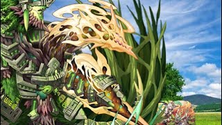 【パズドラ】ジュロンドor極醒カエデ