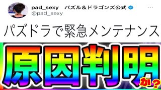 【炎上ラッシュ】まさかの消費者庁案件⁈ 緊急メンテの原因とその影響がヤバすぎたサンリオコラボ【パズドラ】