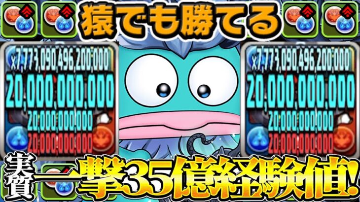 【神ダンジョン】本日開催!サンリオキャラ達のランク上げ適正がヤバすぎた【パズドラ】