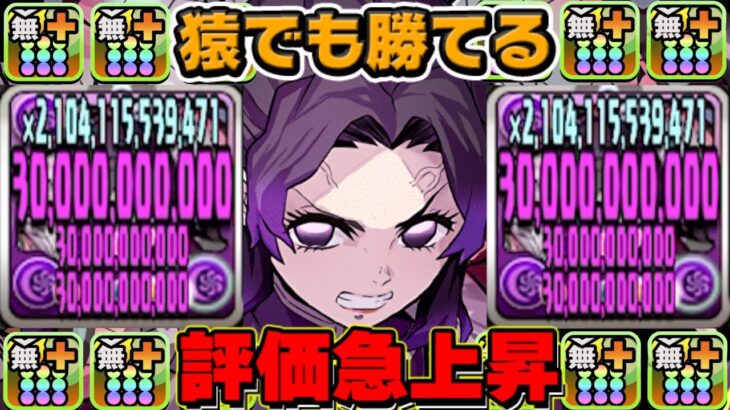 【代用無限】一枚抜きでも余裕で勝てる！最新版しのぶ編成が最強すぎた銀翼チャレンジ【パズドラ】