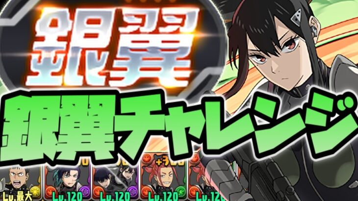 【銀翼チャレンジ】日比野カフカ × 亜白ミナ 編成❗️ #パズドラ #銀翼チャレンジ