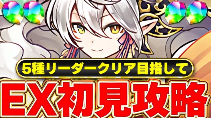 【パズドラ】11月EXラッシュを初見で挑戦!!5種リーダーのクリア目指して!!#パズドラ