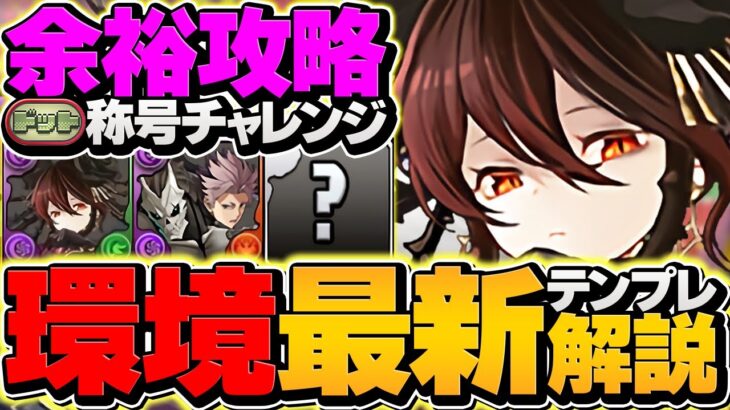 ドットチャレンジをロゼッタで14分攻略!これ組めば誰でも勝てます!代用&立ち回り解説!【パズドラ】