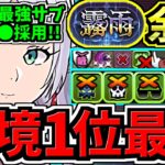 【環境1位】新最強サブ○○採用でさらに強くなった今一番強い最強テンプレ解説！霧雨チャレンジ周回！フリーレン編成・代用・立ち回り解説！葬送のフリーレンコラボ/霧雨の魔王【パズドラ】