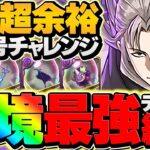 霧雨チャレンジを虚テンプレPTで19分攻略！これ組めばOK！激レア称号をゲットしよう！【パズドラ】
