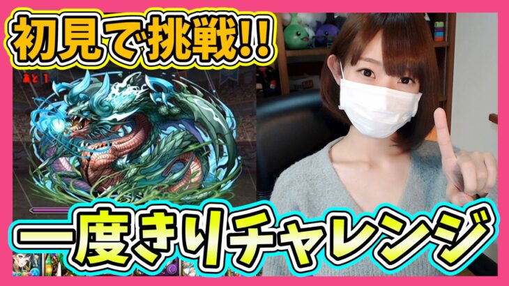 【パズドラ】一度きりチャレンジ初見で挑戦！雷神で行ってみよー！！Part382【ろあ】