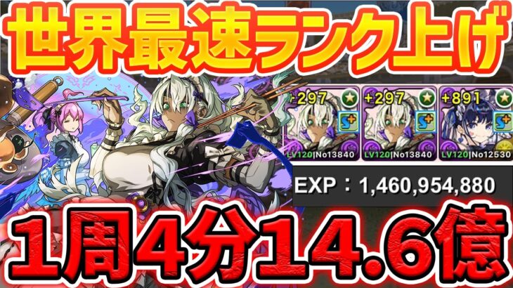 【世界最速】時速215億↑メイドコロシアムを1周4分で14.6億経験値！ずらし+簡単パズルでランク上げ！【パズドラ】