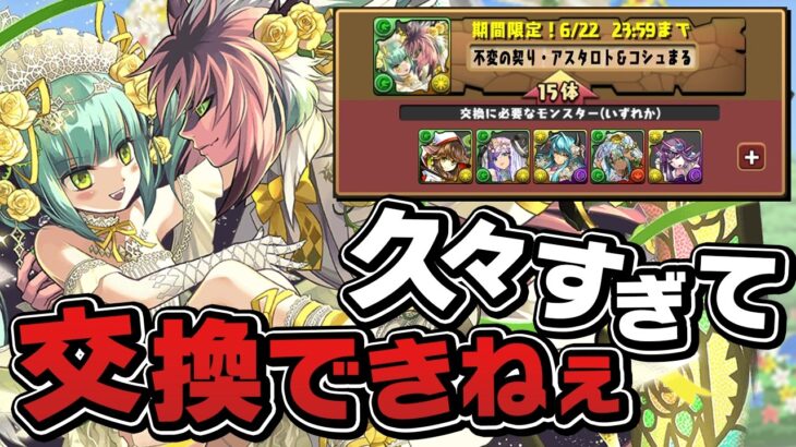 木属性求めてブライダルガチャに挑むの3年ぶりですってよ【パズドラ】