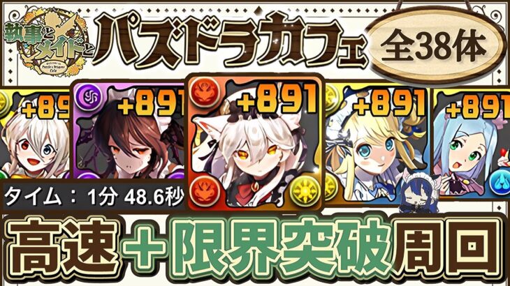 【パズドラ】メイドキャラ全38体！＋891限界突破！織姫彦星降臨、ゼヘラ降臨、メイドコロシアム1＆2を含む1分爆速周回編成を5パターン紹介！