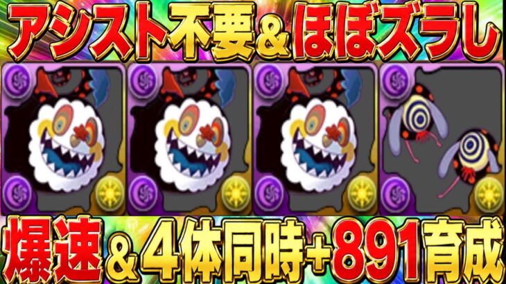 【3分切り】アシスト＆パズル不要版も！お菓子の魔女爆速+891育成が神すぎたまどマギコラボ【パズドラ】