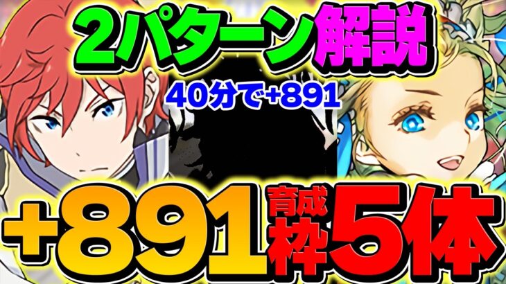 【40分で+891育成】育成枠4体で式神使いコロシアム&育成枠5体で上級周回！プラマラ編成2パターン解説！【パズドラ】