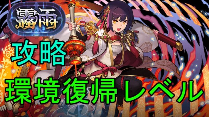 上限値500億、指２倍のあのキャラ！！！セイナが霧雨と噛み合って最強すぎる！！！【パズドラ】