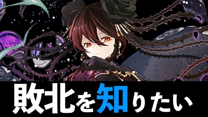 【6月のEX】全297ロゼッタでお散歩草！花嫁の強化パーツも要チェック✅️【パズドラ】