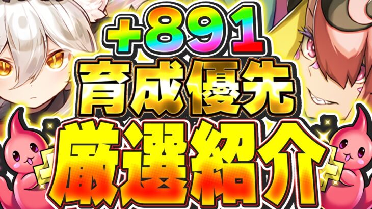 このキャラ優先で＋891育成しよう！！メイドキャラの性能が高く優先的に＋限界突破育成したいキャラを厳選して紹介！！【パズドラ実況】＃パズドラ