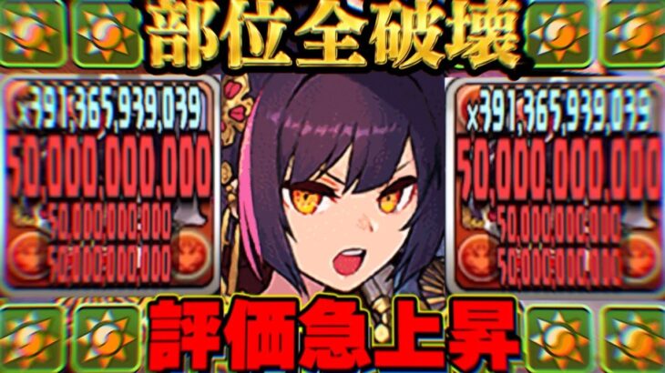 【適正MAX】陽加護爆盛りセイナが無敵すぎた霧雨チャレンジ【パズドラ】