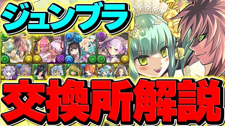 ブライダルイベント最終交換所解説！Sランクキャラ２体を逃すな！知らないと損！【パズドラ】