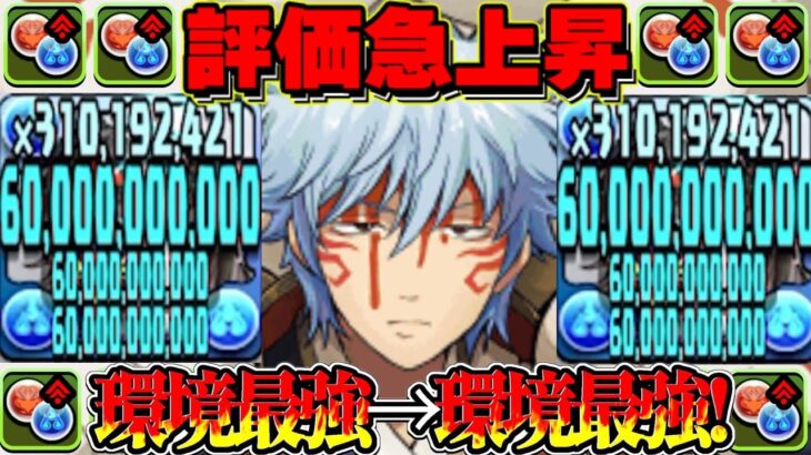 【Twitterで話題】高難度対応型銀さんがヤバすぎた冥境チャレンジ【パズドラ】