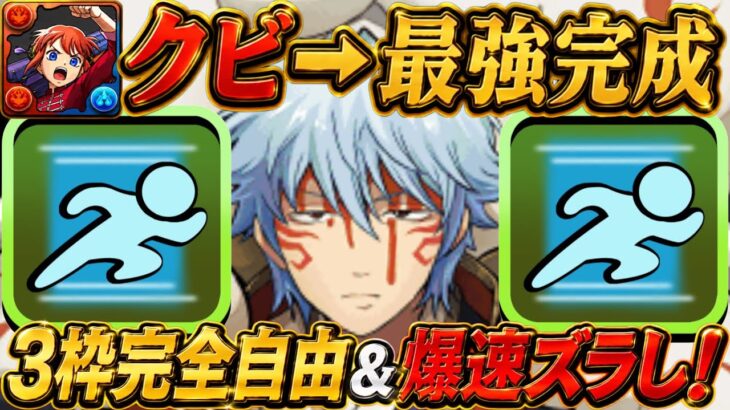 【Twitterで話題】3枠完全自由！最新爆速ズラし銀さんが革命すぎた限界突破コロシアム【パズドラ】