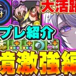 操作延長と無効貫通ループで超安定！！メイドノクタリアのテンプレ編成紹介＆霧雨攻略！！【パズドラ実況】＃パズドラ