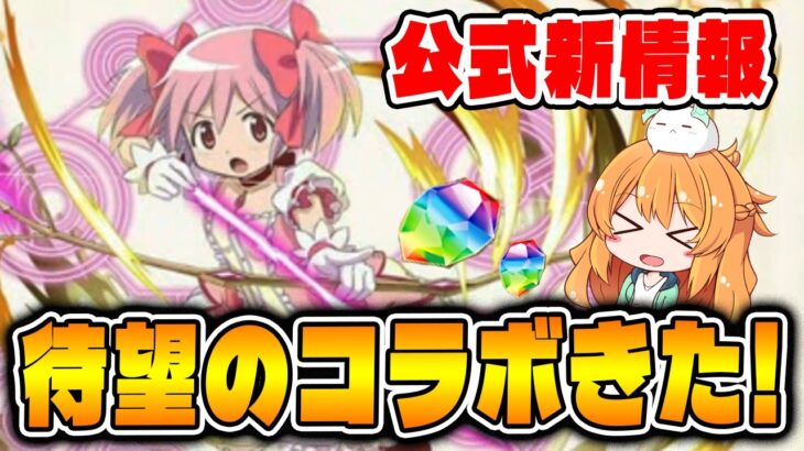 ついにまどマギコラボがくる!!!!パズドラ公式放送の新情報を見ていきます!!【パズドラ】
