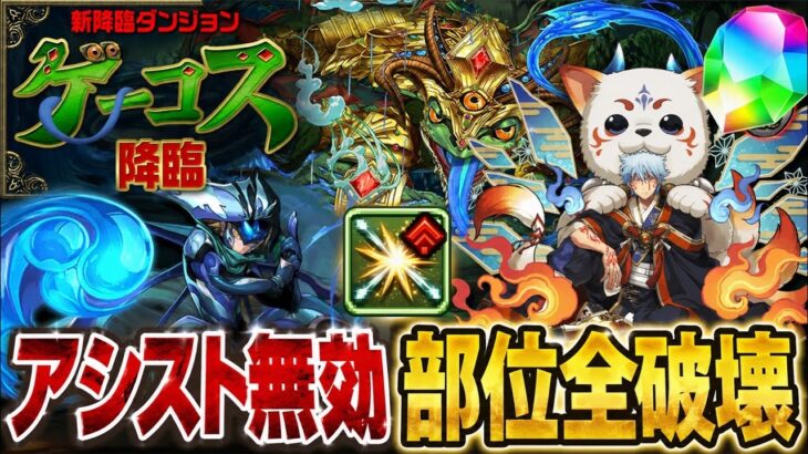【銀時ループ】部位全破壊‼️ゲーコス降臨 アシスト無効 周回編成・立ち回り紹介！！【#パズドラ/パズル&ドラゴンズ】
