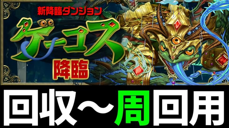 【ゲーコス降臨】部位破壊周回編成など！花嫁ゼラがバレました・・・【パズドラ】